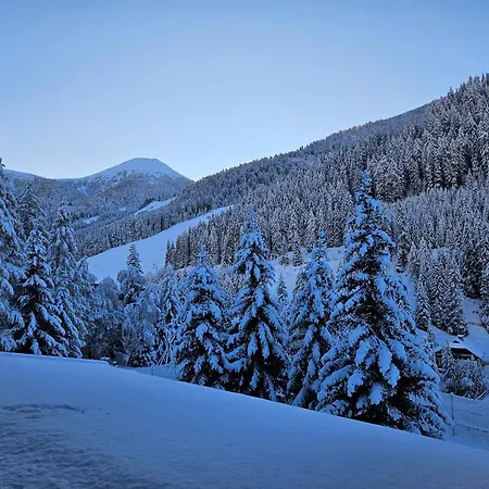 Отель Kinder- Und Familienhotel Nockalm