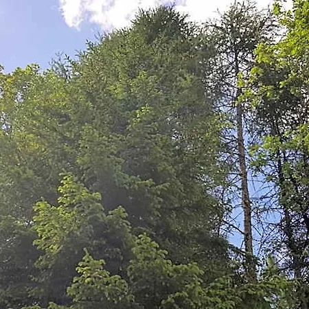 Kinder- Und Nockalm Innerkrems