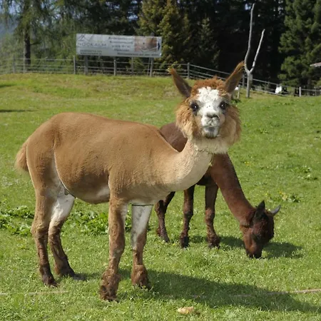 Kinder- Und Familienhotel Nockalm 4*